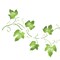 Small Ivy Vine Wall Stencil | 1538 by Designer Stencils | Floral Stencils | Reusable Art Craft Stencils for Painting on Walls, Canvas, Wood | Reusable Plastic Paint Stencil for Home Makeover | Easy to Use & Clean Art Stencil